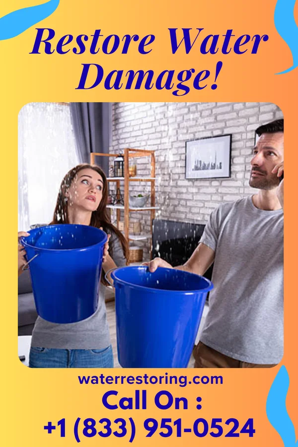 water restoration National Water Solutions Company Sussex
